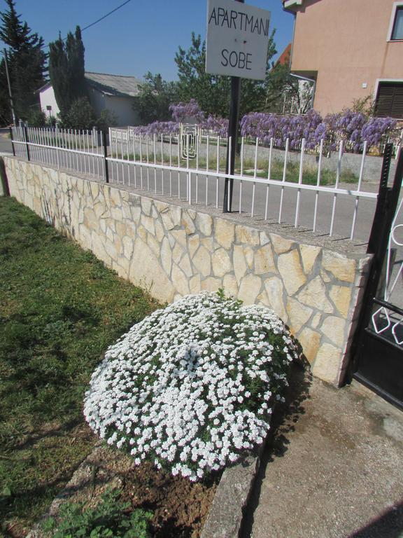 Apartments Jasen Maslenica Zewnętrze zdjęcie
